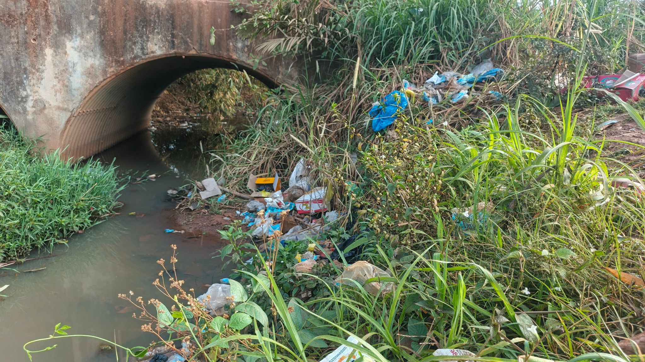 &Agrave; Beyla, le c&eacute;l&egrave;bre cours d&rsquo;eau Bembeya gravement menac&eacute; par les pressions humaines