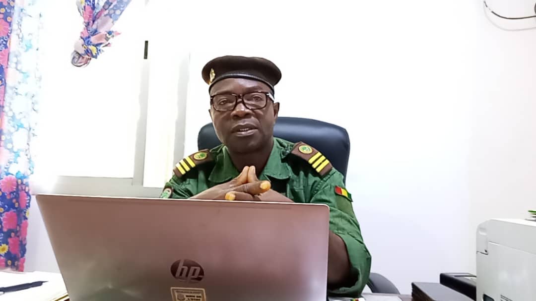 Guinée : des espèces protégées au bord de l’extinction, le cri d’alarme du Centre forestier de N’Zérékoré